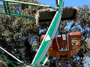 Century Wheel Gondola by Chance Rides